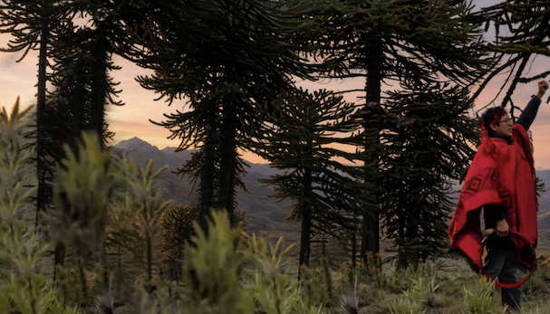 Screenshot 2026-10-27 at 05.09.51